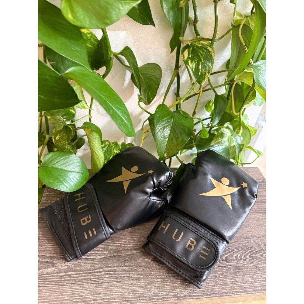 Hube Black Training Boxing Gloves